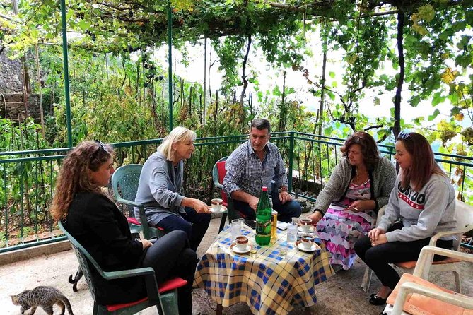 Unique gastro experience with locals in high hills above Budva! - Key points to know before booking