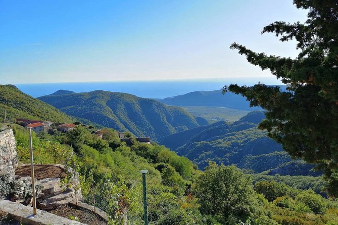 Unique gastro experience with locals in high hills above Budva! - Leaving Budva for the hills