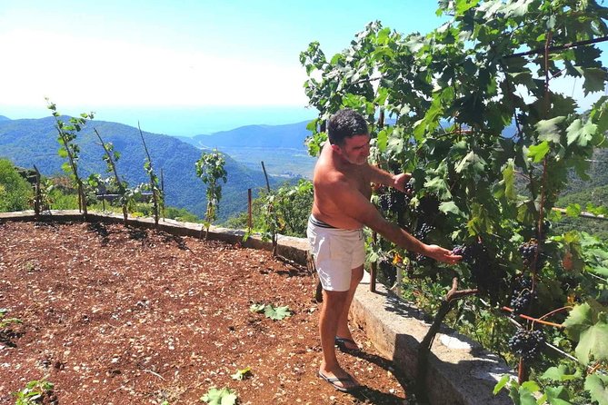 Unique gastro experience with locals in high hills above Budva! - Booking, pickup, and cancellation details