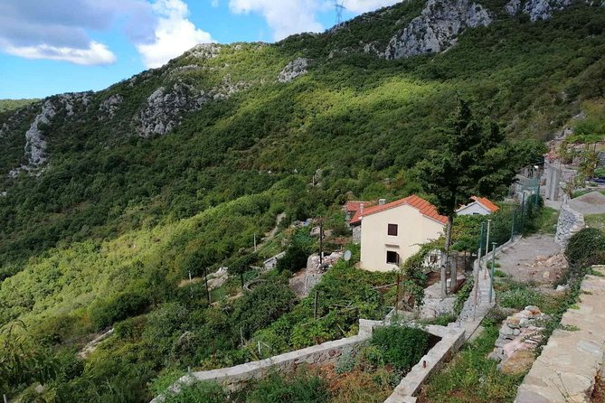 Unique gastro experience with locals in high hills above Budva! - Kosmač Fortress and the Budva Bay view