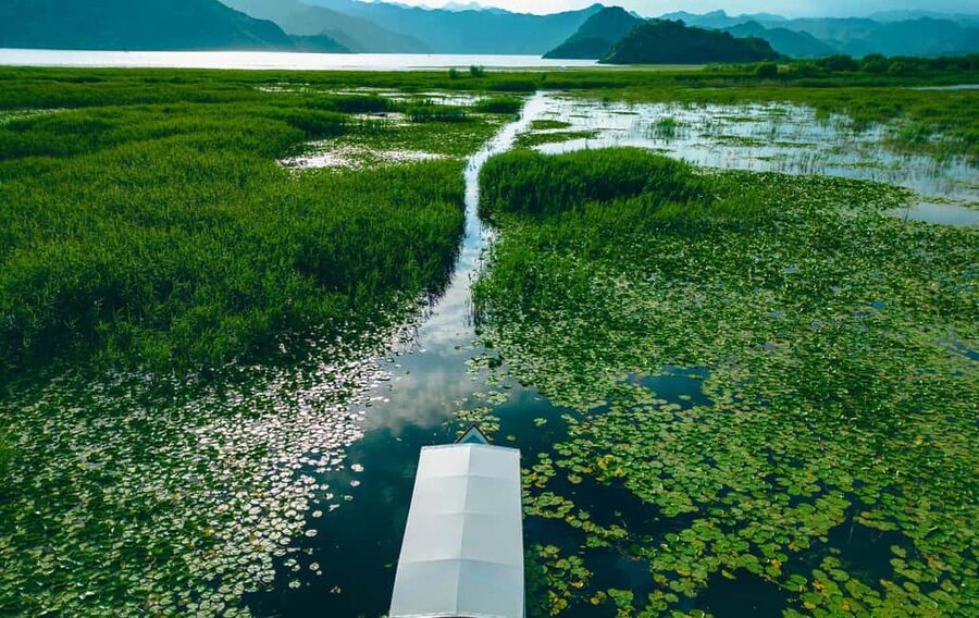 Virpazar: Private & Group Guided Lake Skadar Boat Tour - Who will enjoy this cruise most