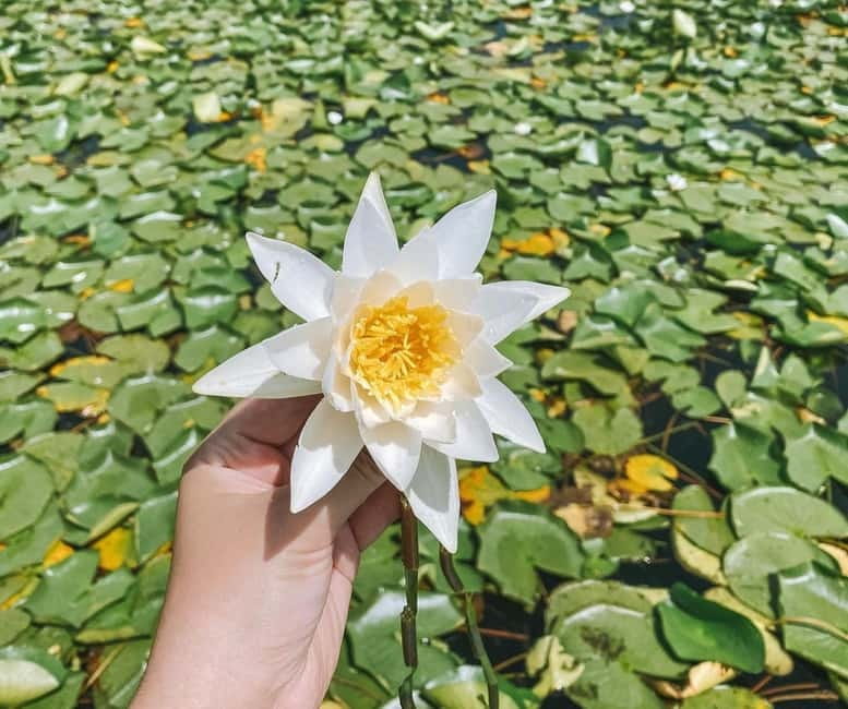 Virpazar: Skadar Lake by Boat and Kom Monastery Guided Tour - Parking and timing in Virpazar