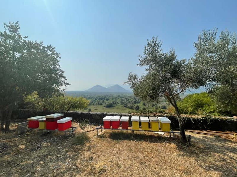 Virpazar: Skadar Lake by Boat and Kom Monastery Guided Tour - What to bring and how to prepare