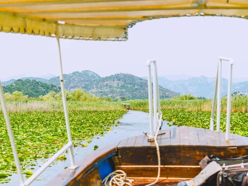 Virpazar: Skadar Lake National Park Boat Tour & Karuč Visit - Key points to know before you book