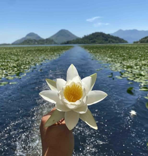 Virpazar: Skadar Lake National Park Guided Boat Tour - Key points at a glance