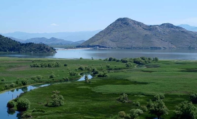 Virpazar: Skadar Lake National Park Guided Boat Tour - Three islands and a genuinely wild view