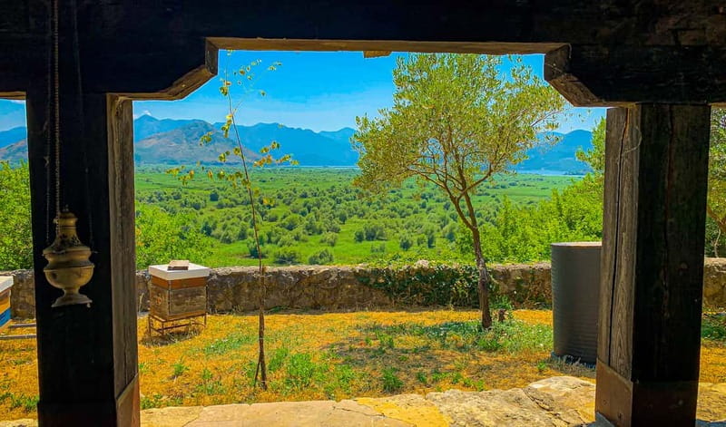 Virpazar: Skadar Lake PRIVATE Boat Tour to KOM MONASTERY - Swimming at Liponjak and relaxing on the return