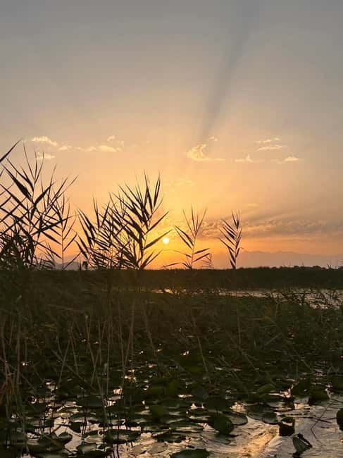 Virpazar – Skadar Lake: sunrise and sunset cruise - The 30-minute swimming stop