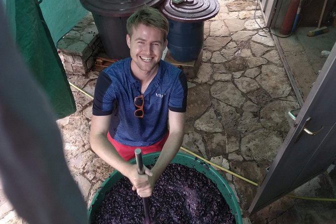 Wine tasting and magical tour from Kotor, Budva, Tivat (Lovcen,Skadar lake) - Lovcen National Park and the high mountain route