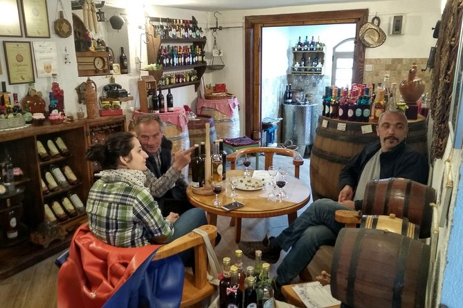 Wine tasting in the family winery, feel the spirit - Key points to know before booking